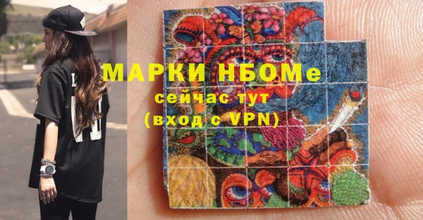 соль ск Елабуга