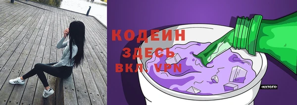 соль ск Елабуга