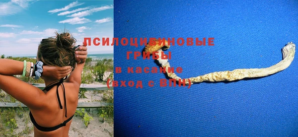 мдпв Ельня