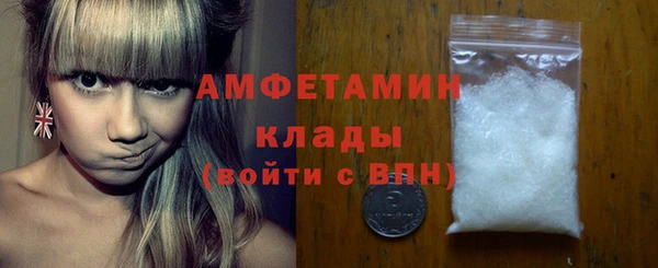 мдпв Ельня