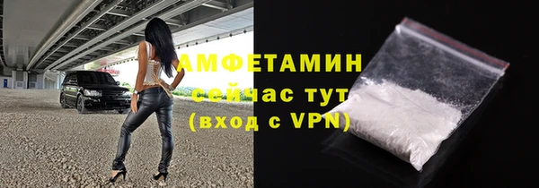мдпв Ельня