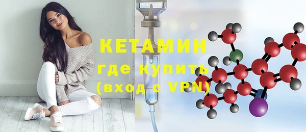 мдпв Ельня