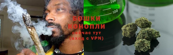 мдпв Ельня
