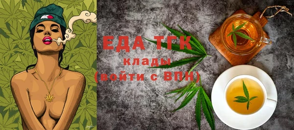мдпв Ельня