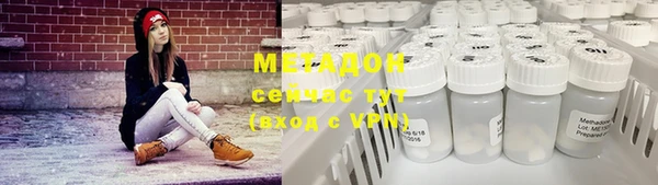 мдпв Ельня