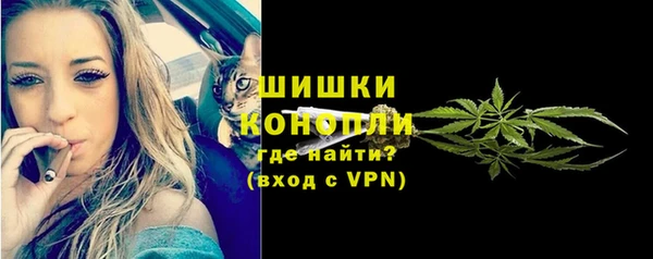 мдпв Ельня