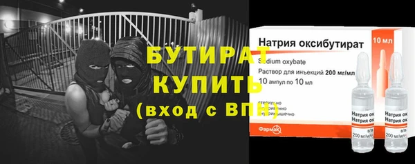 мдпв Ельня