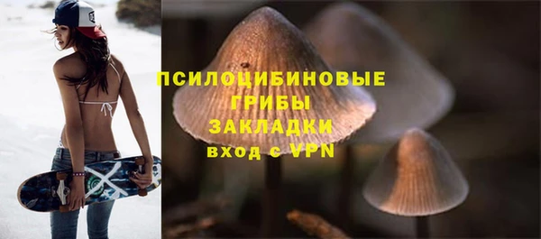 мдпв Ельня