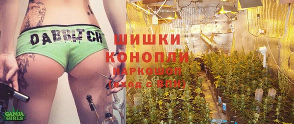 соль ск Елабуга