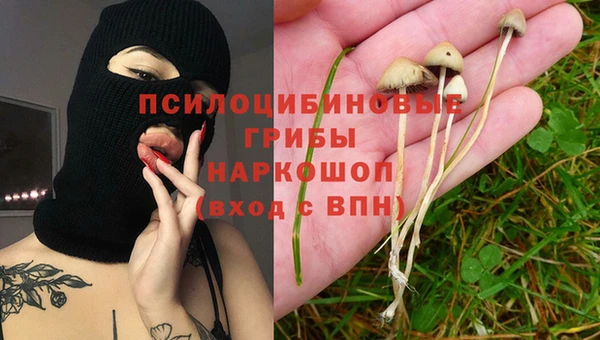apvp Елизово