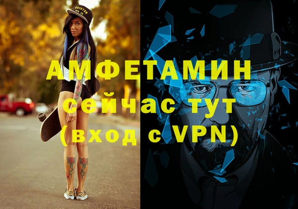 мдпв Ельня