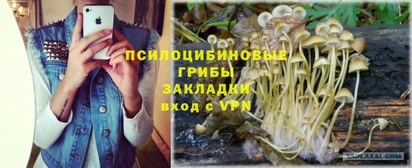 соль ск Елабуга