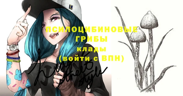 мдпв Ельня