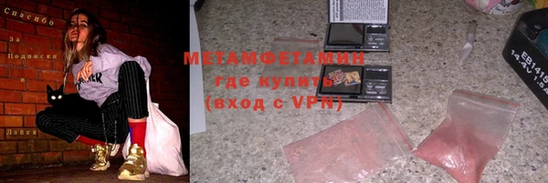 мдпв Ельня