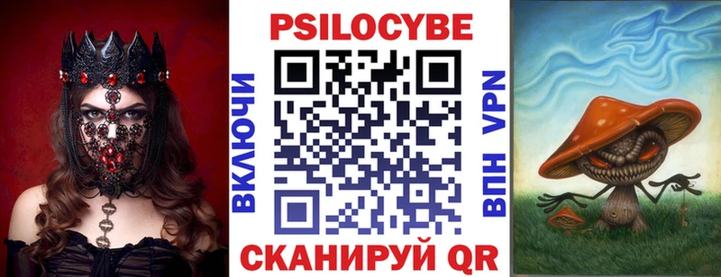 Купить закладки  Черкесск  Псилоцибиновые грибы Cubensis 